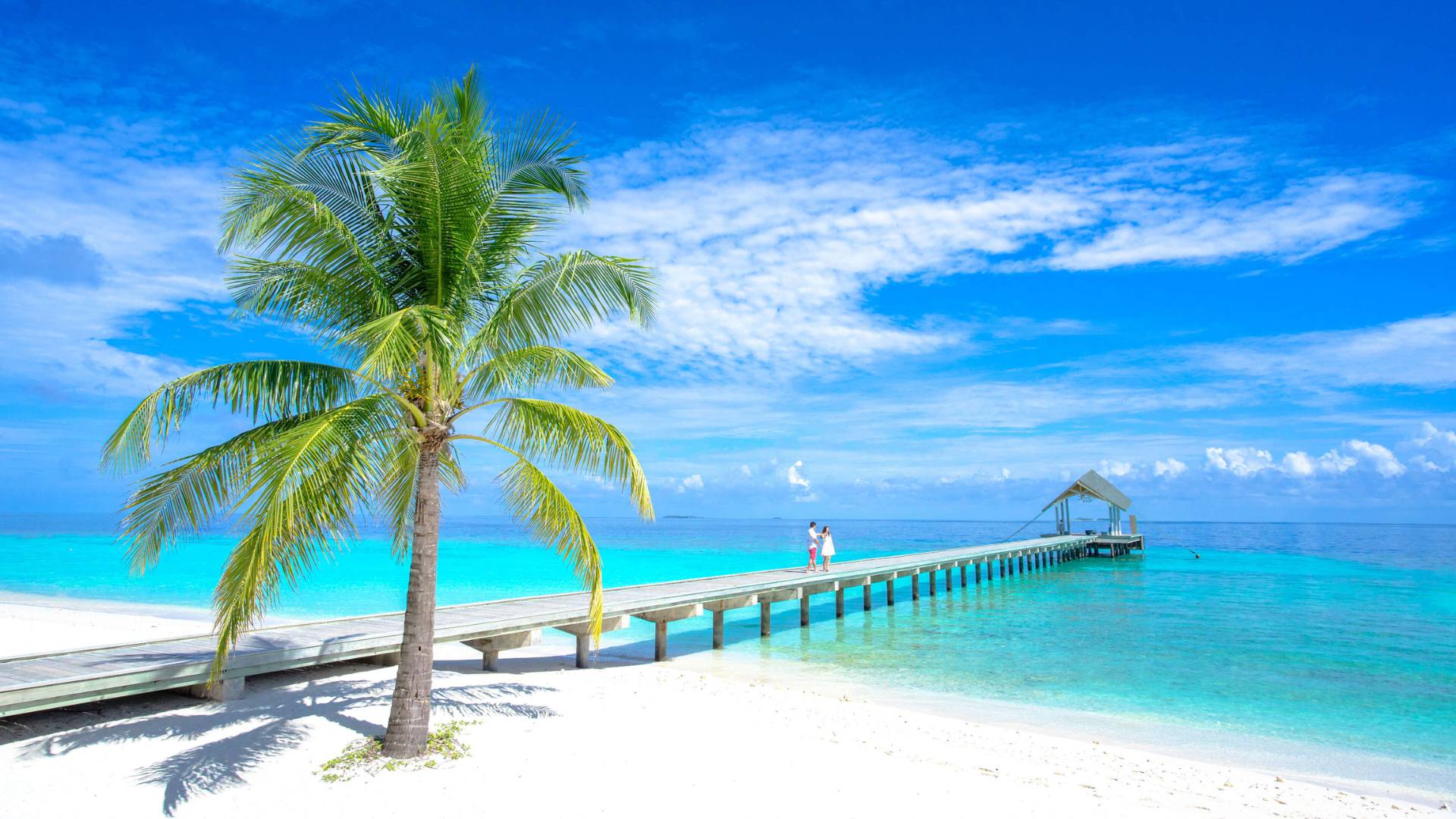 Bula