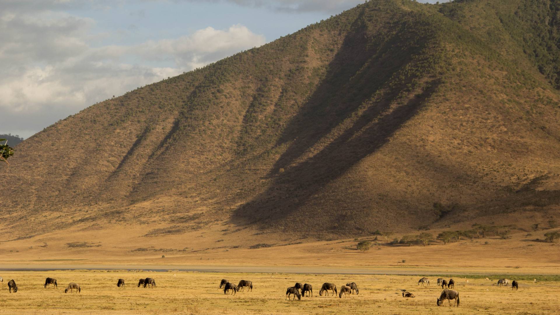 Ritmo della Tanzania