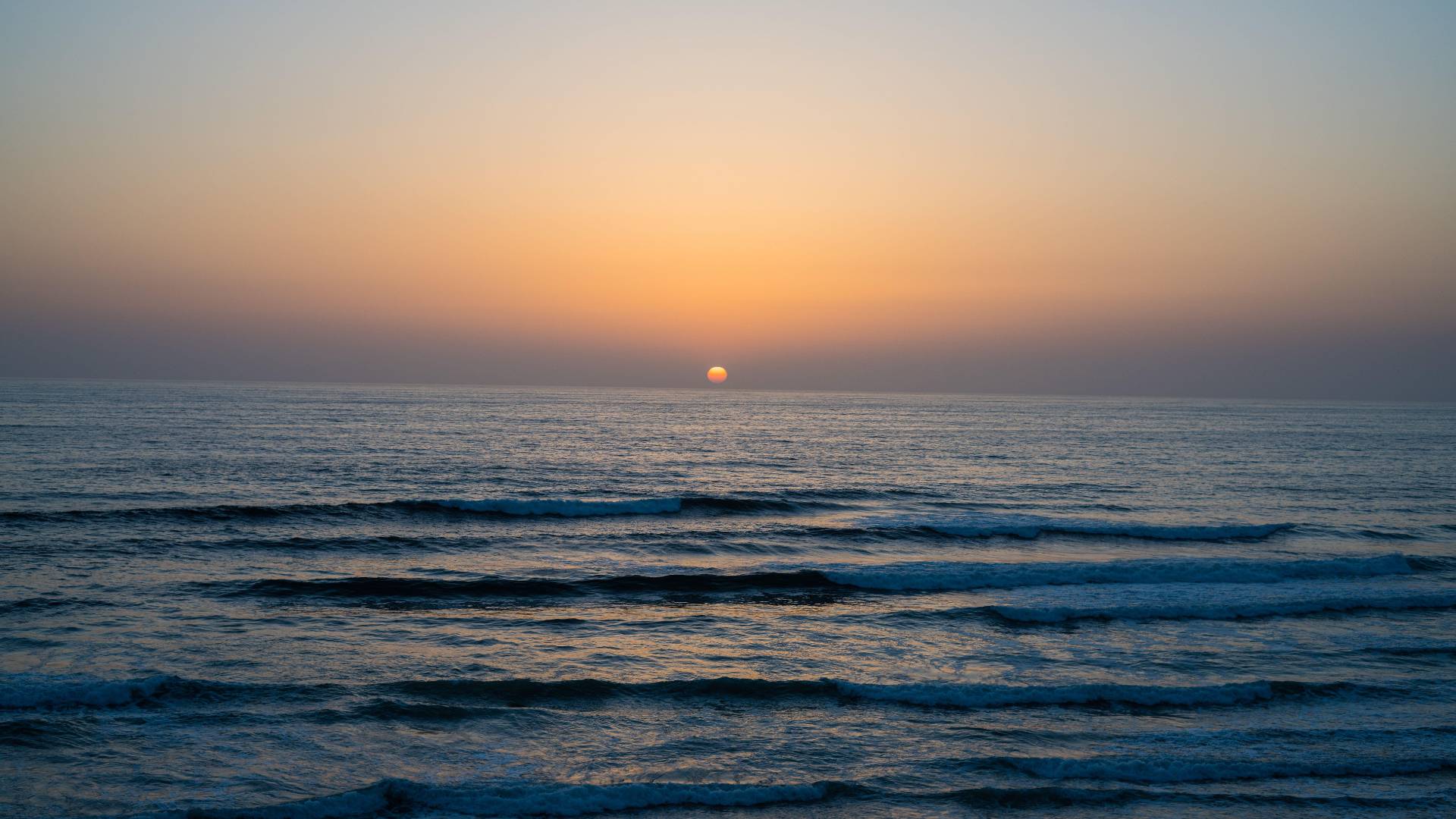 Bassa California del Sud (Messico)