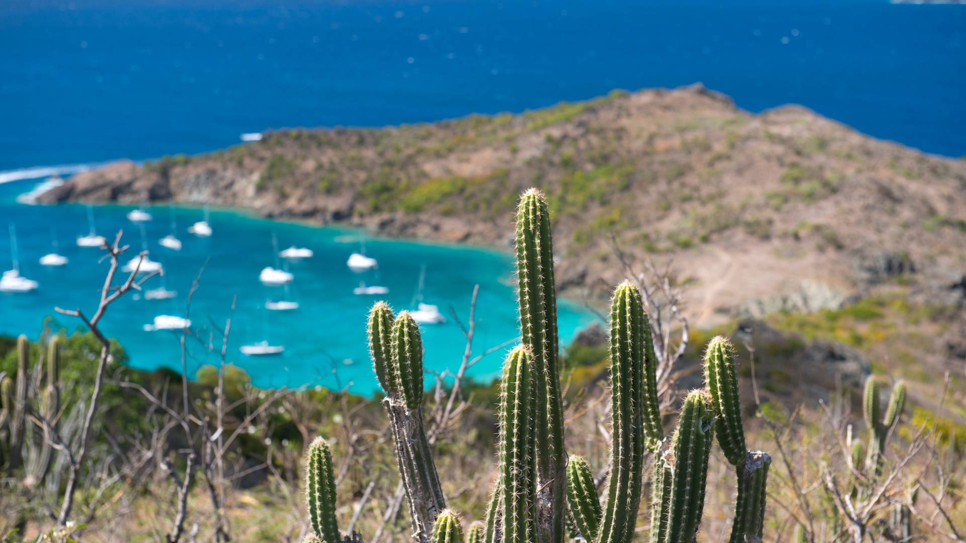 Saint Barthelemy