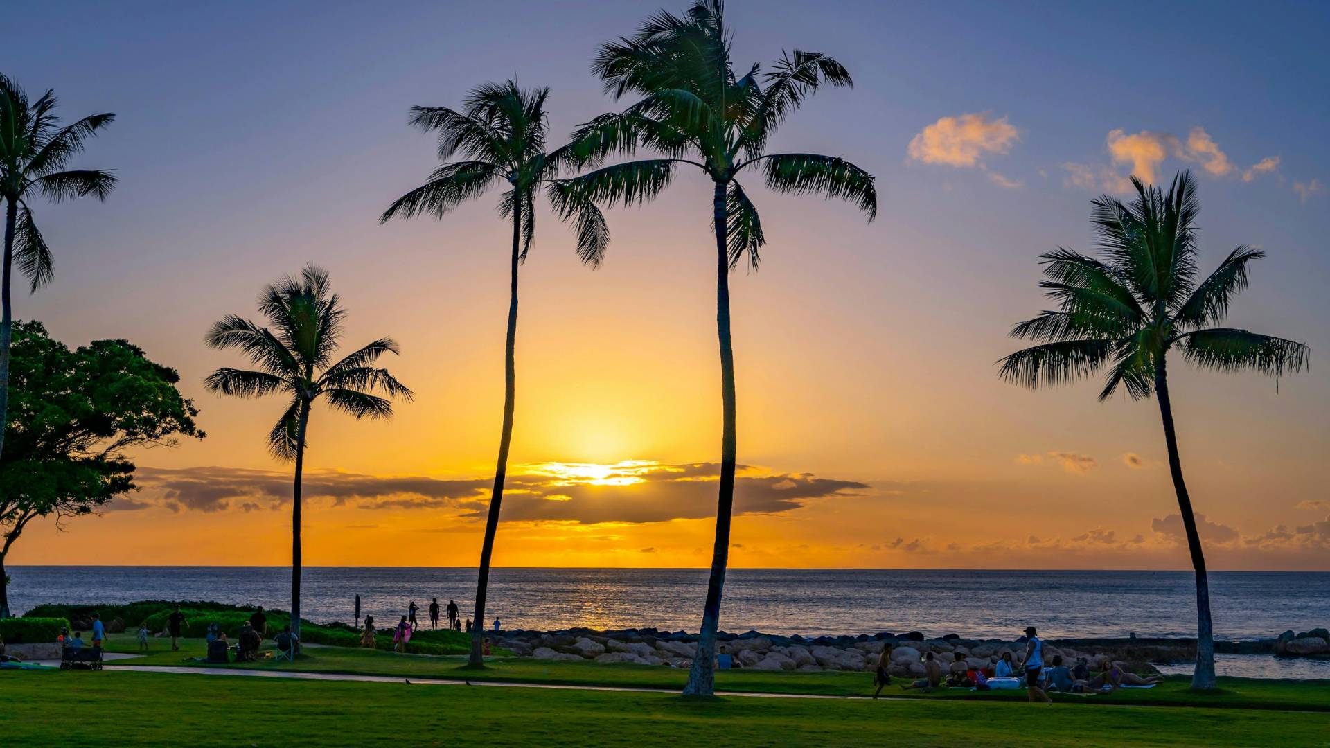 Hawaii O