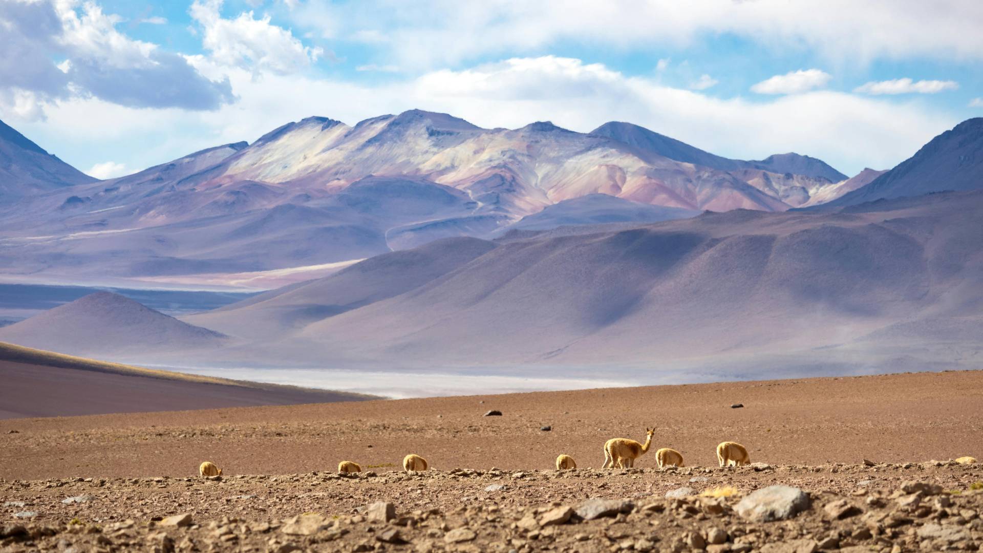 Bolivia: trekking e tradizioni