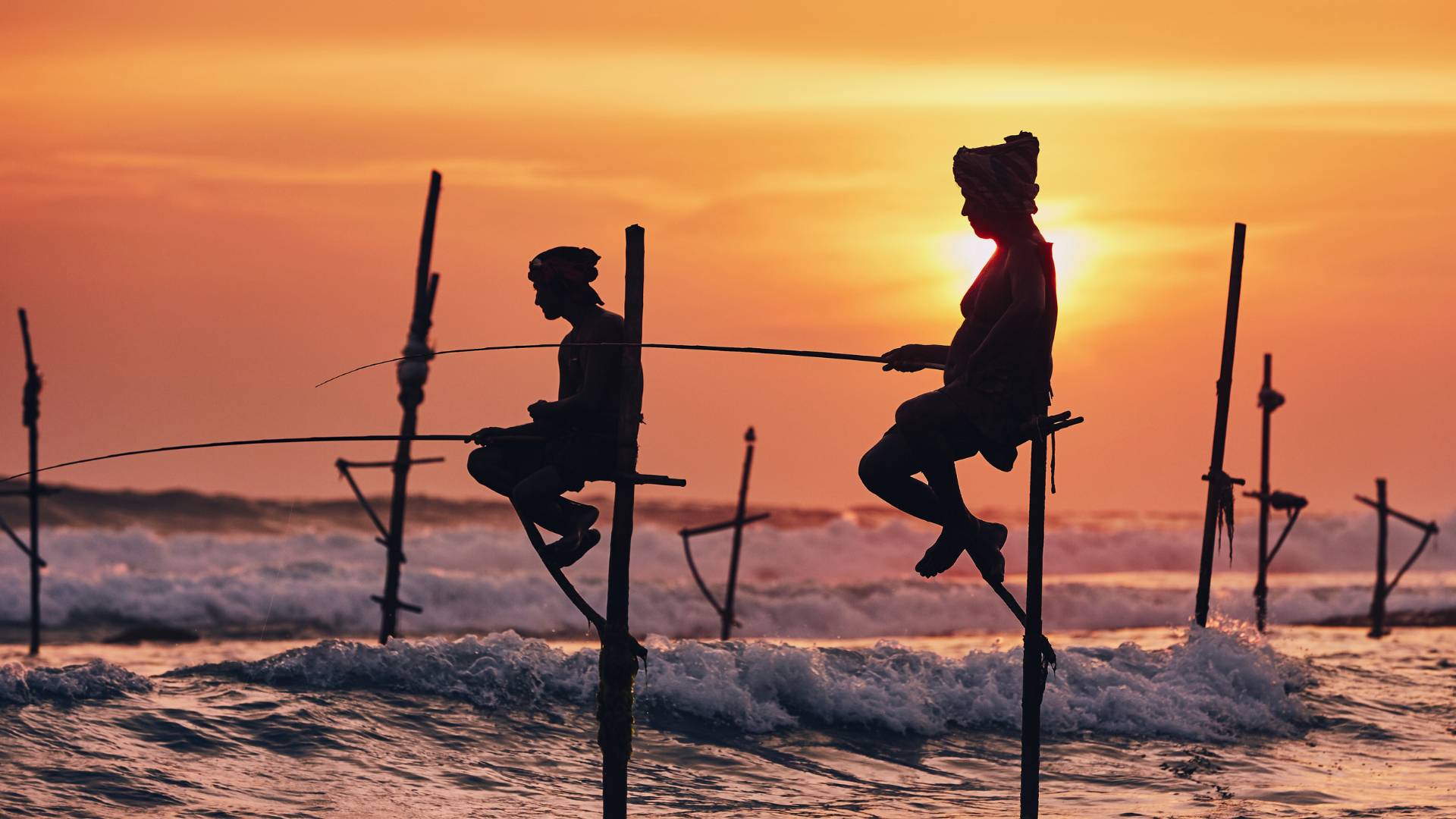 Tour dello Sri Lanka