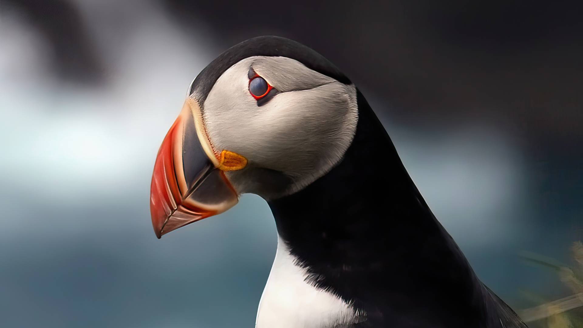 Discover Faroer Islands da Copenhagen