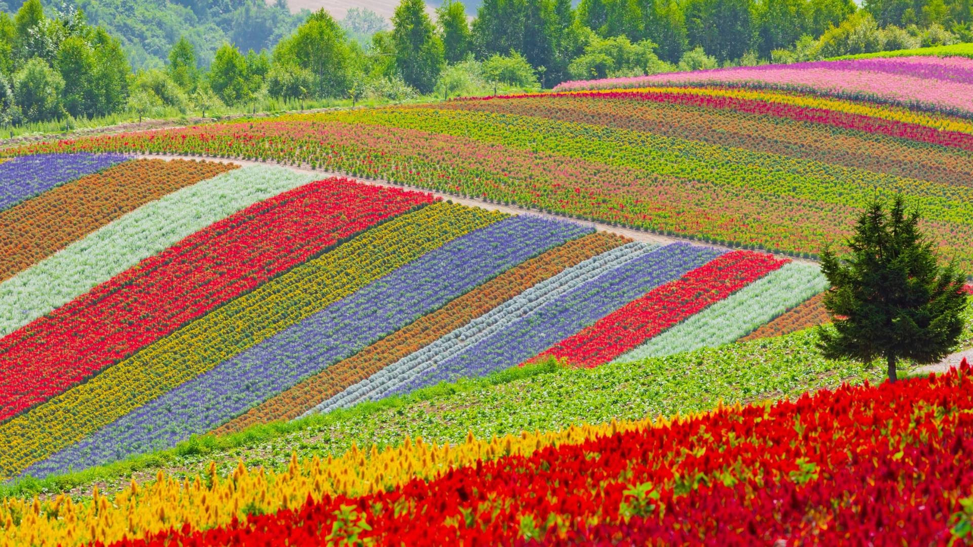 Hokkaido: laghi e vulcani