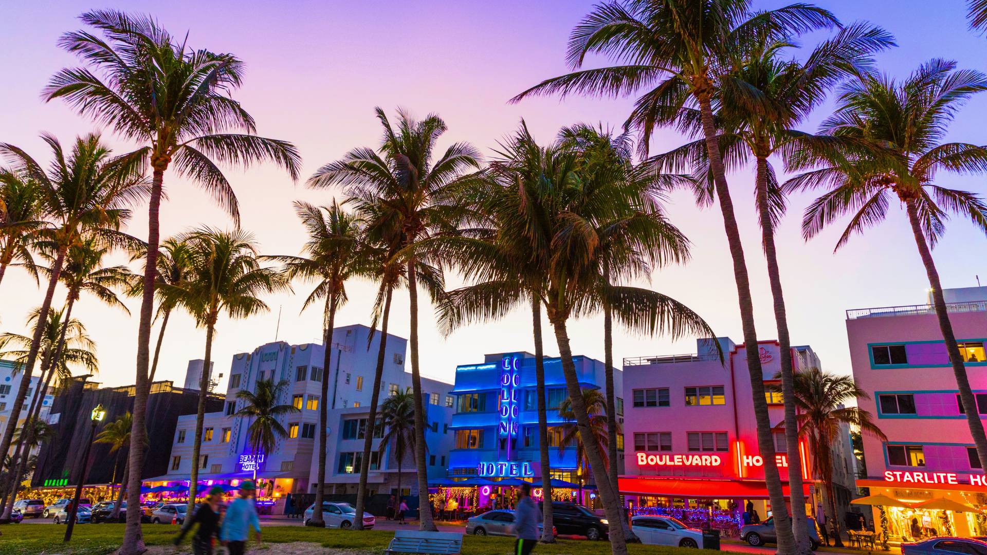 Party Miami