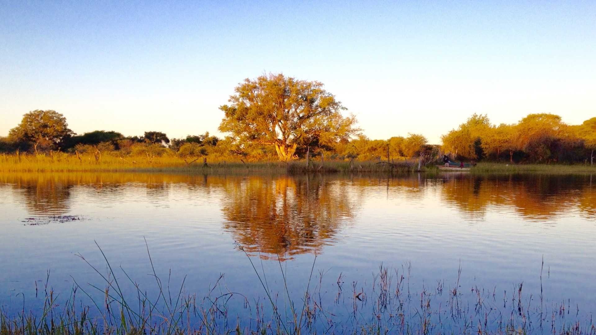Meraviglie del Botswana