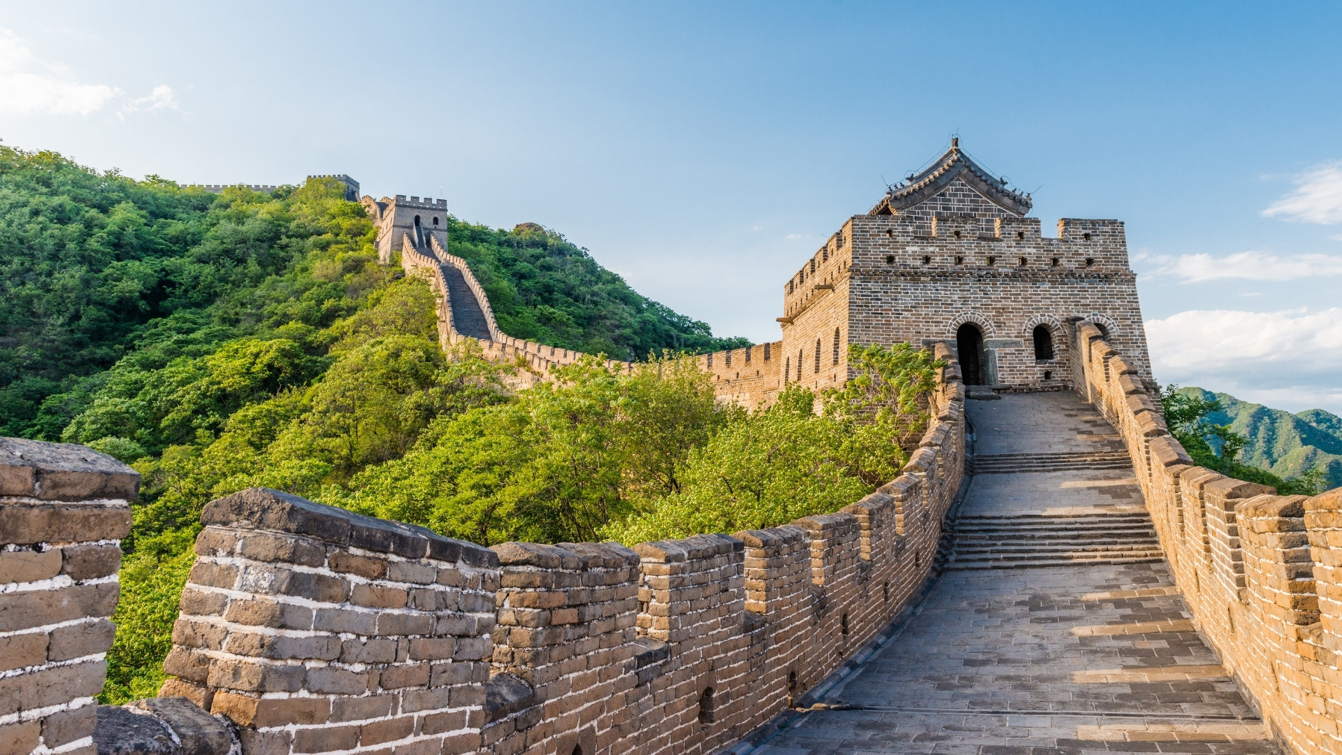 Cina