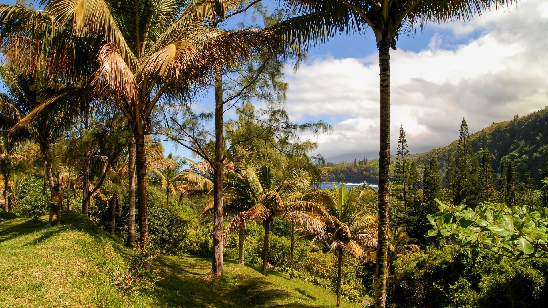 Le Meraviglie di Reunion