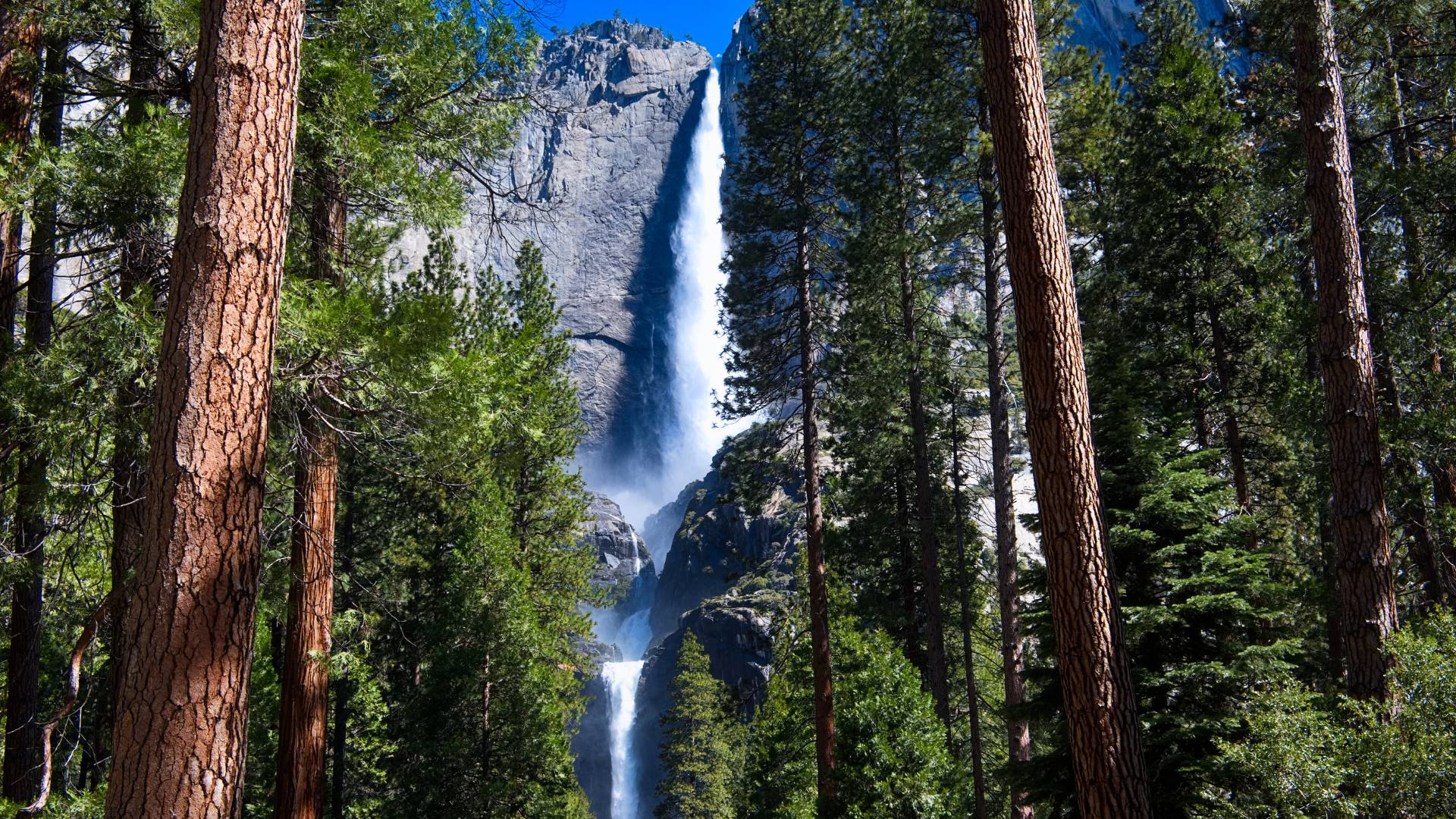 Yellowstone e la natura dei parchi americani