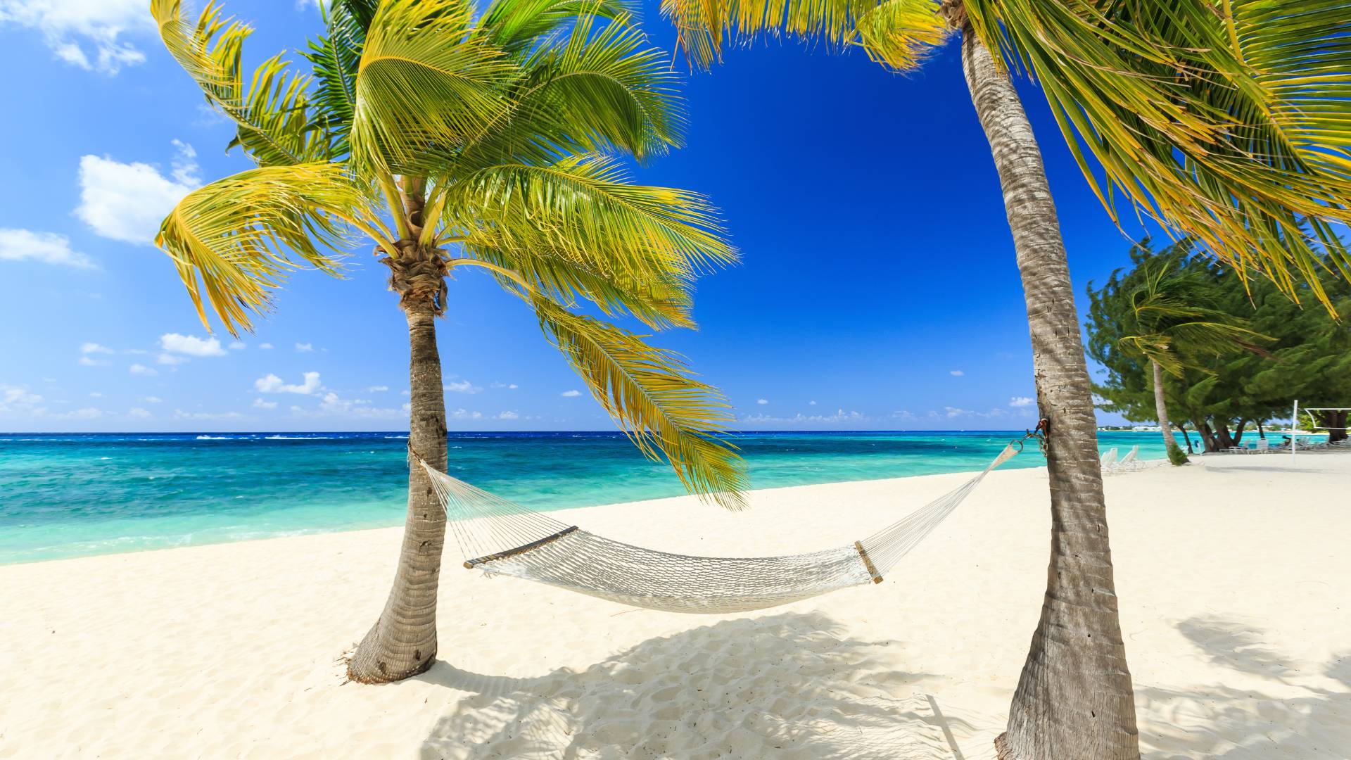 Isole Cayman